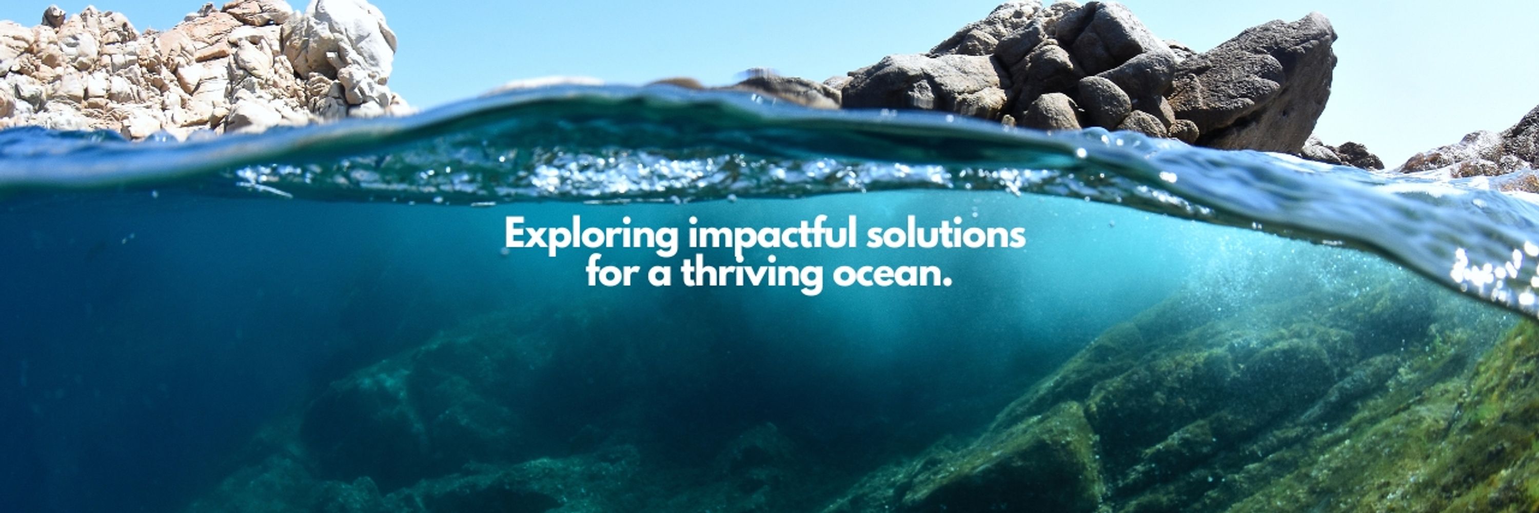 Seaze | Ocean Innovation Podcast