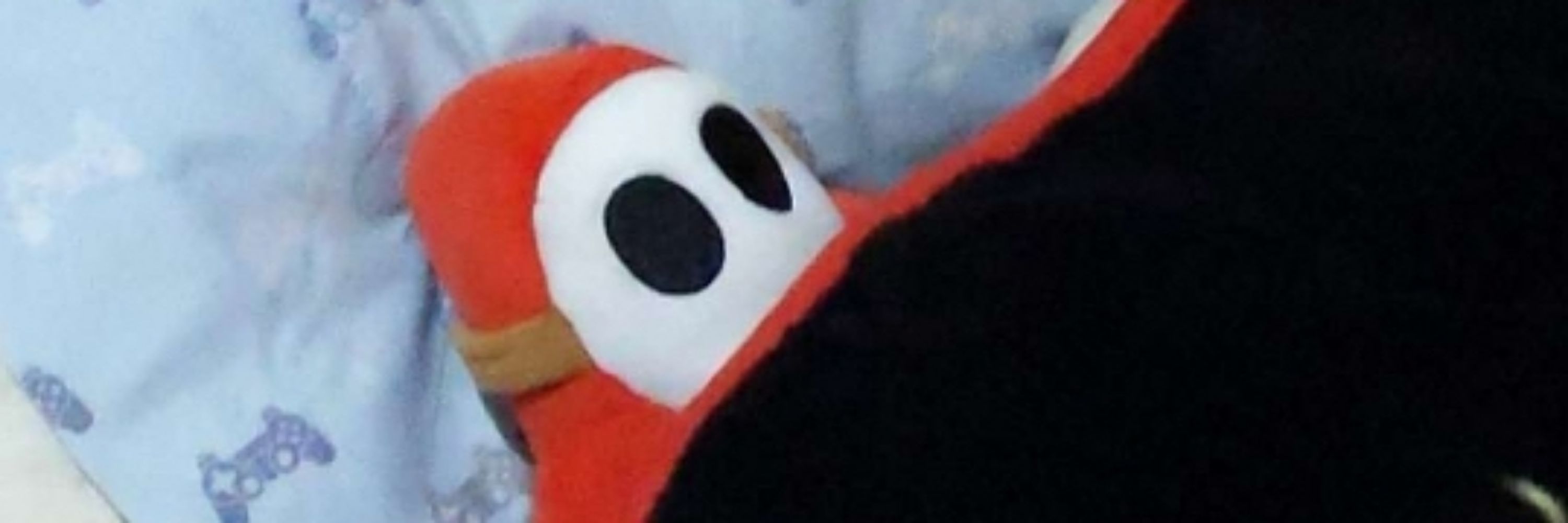 TheCrypticShyguy