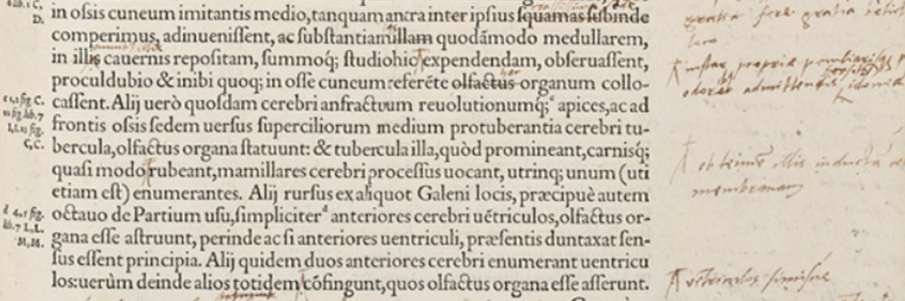 KU Leuven Libraries Special Collections