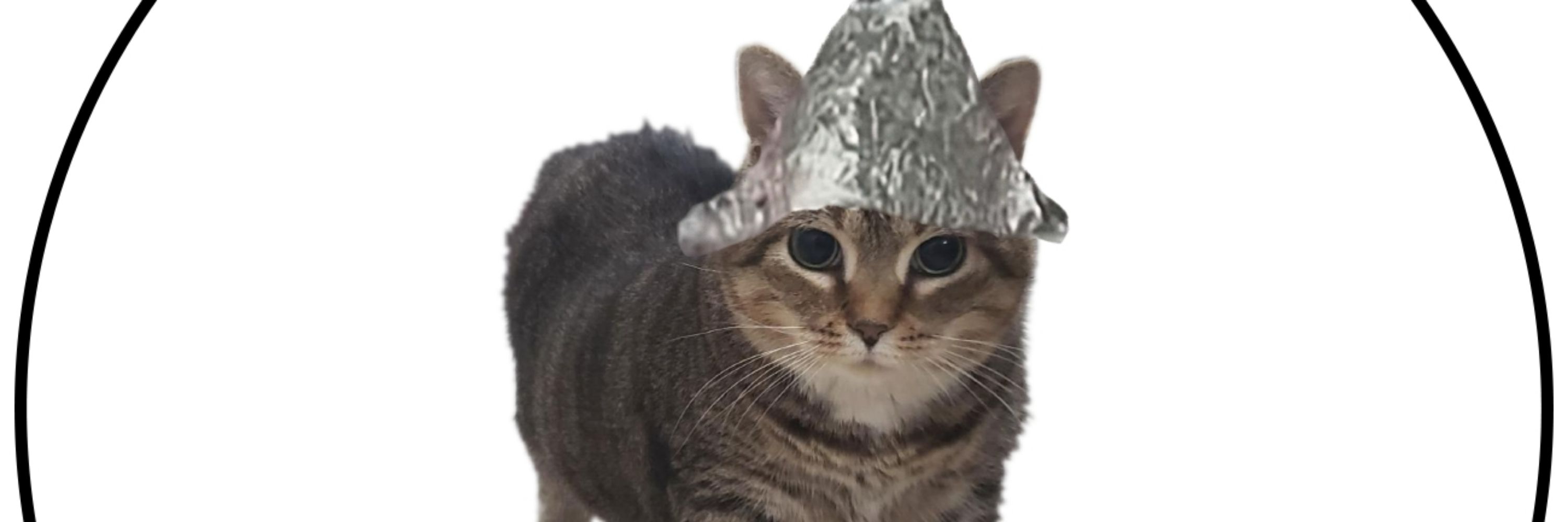 Vic