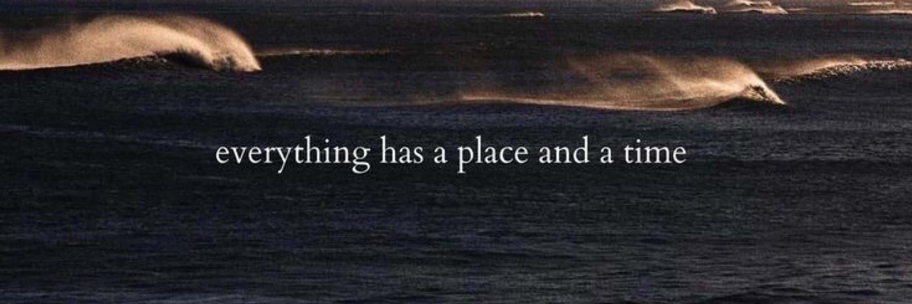 𝓶𝓲𝓵𝓪 ୨ৎ