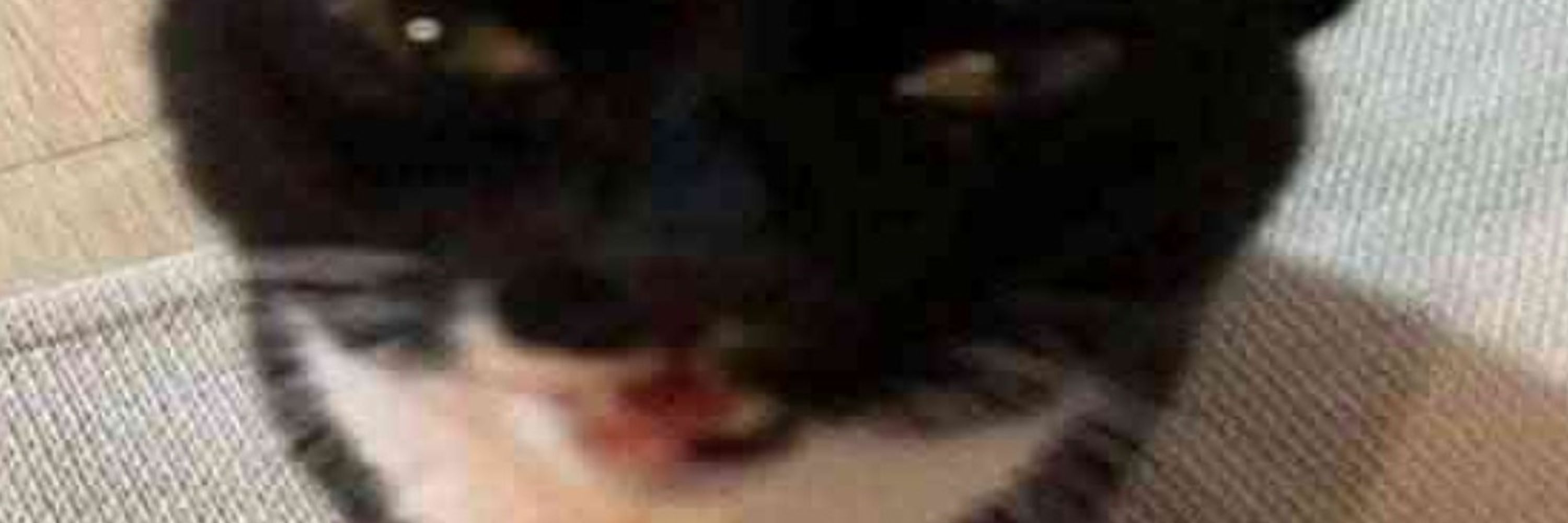 Pixel
