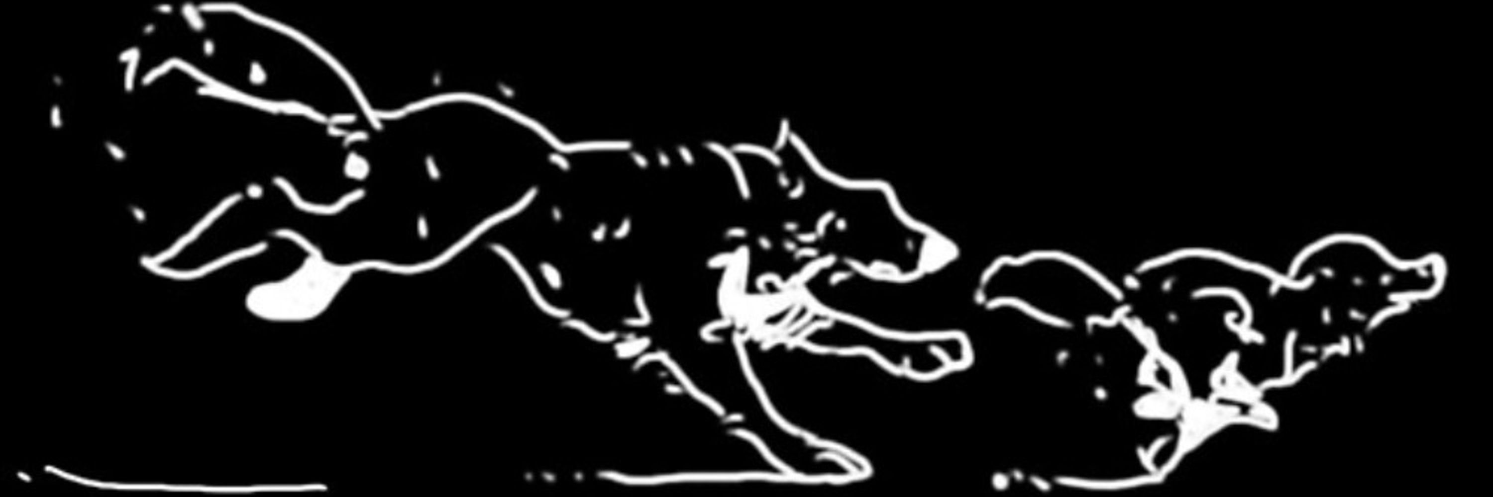 XeniaEmefa 🐺