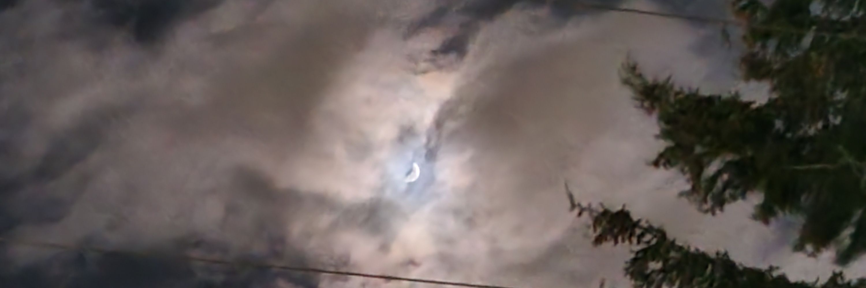 Juniper Moon