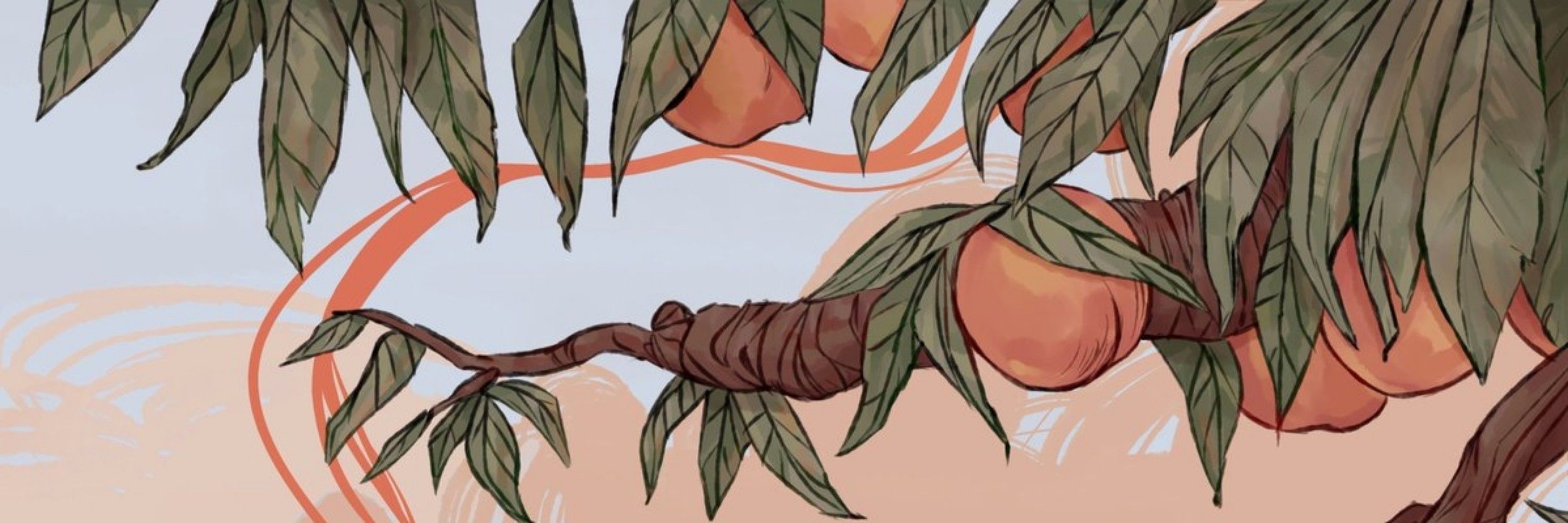 Flox 🍂​