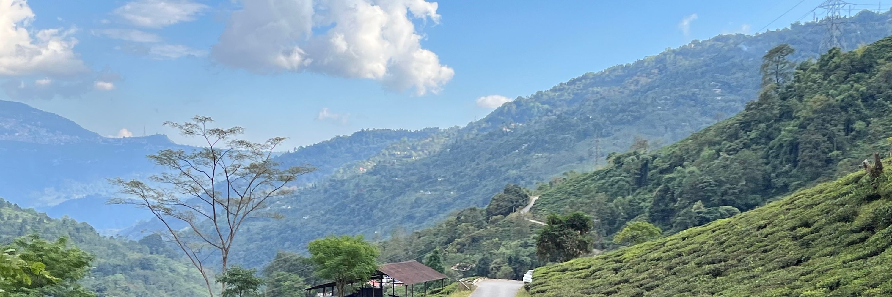 Pratima Gurung