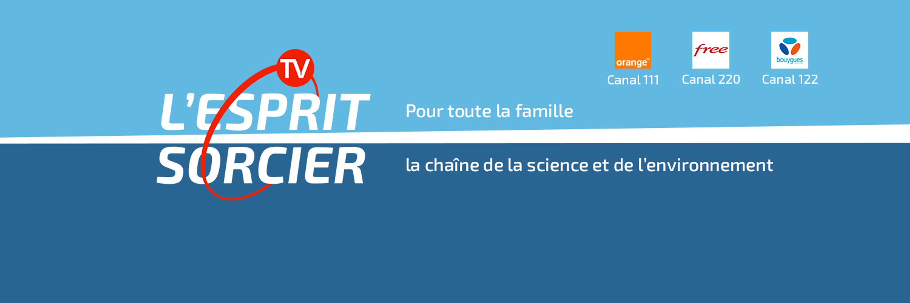 L'Esprit Sorcier TV