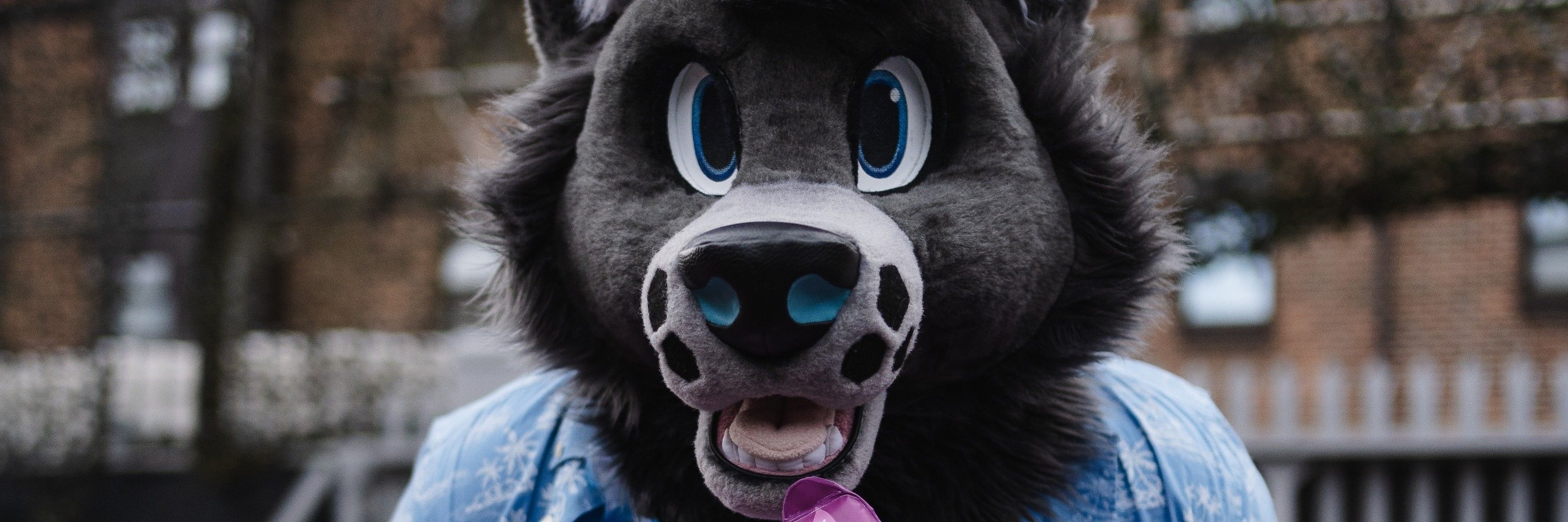 Hazard Wolf