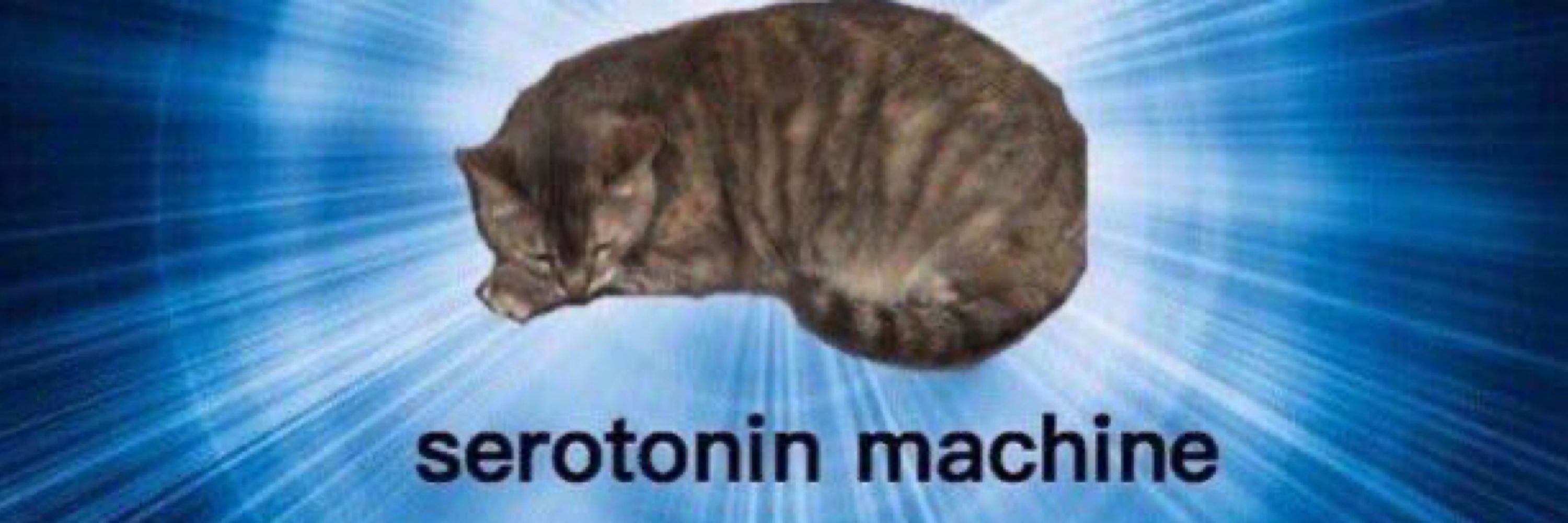юль
