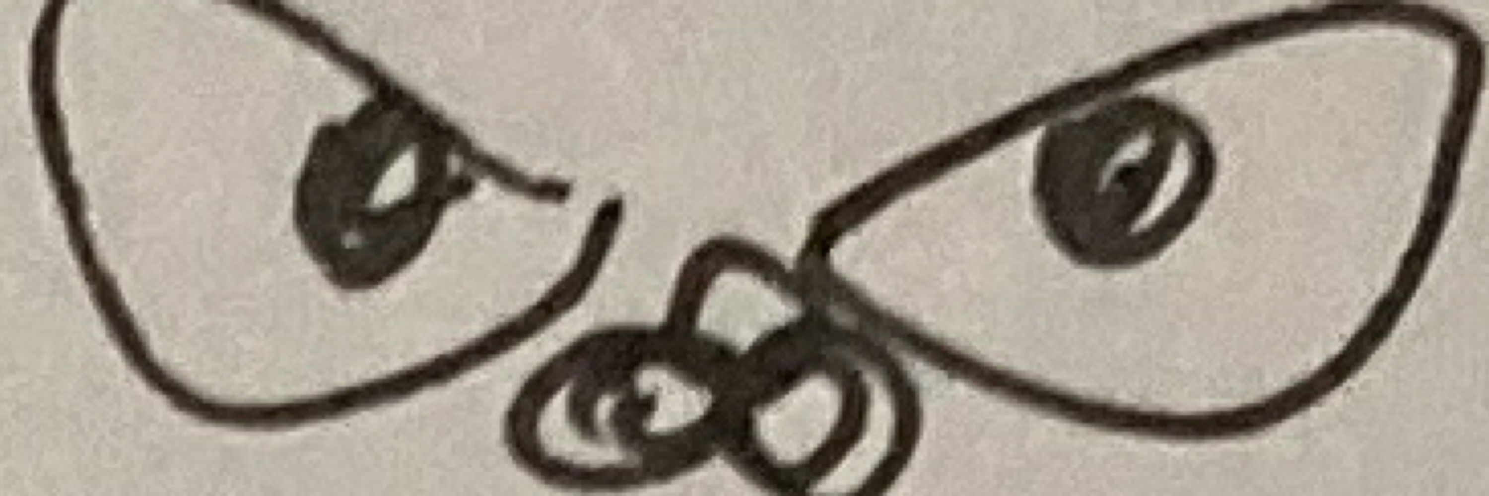 すみ
