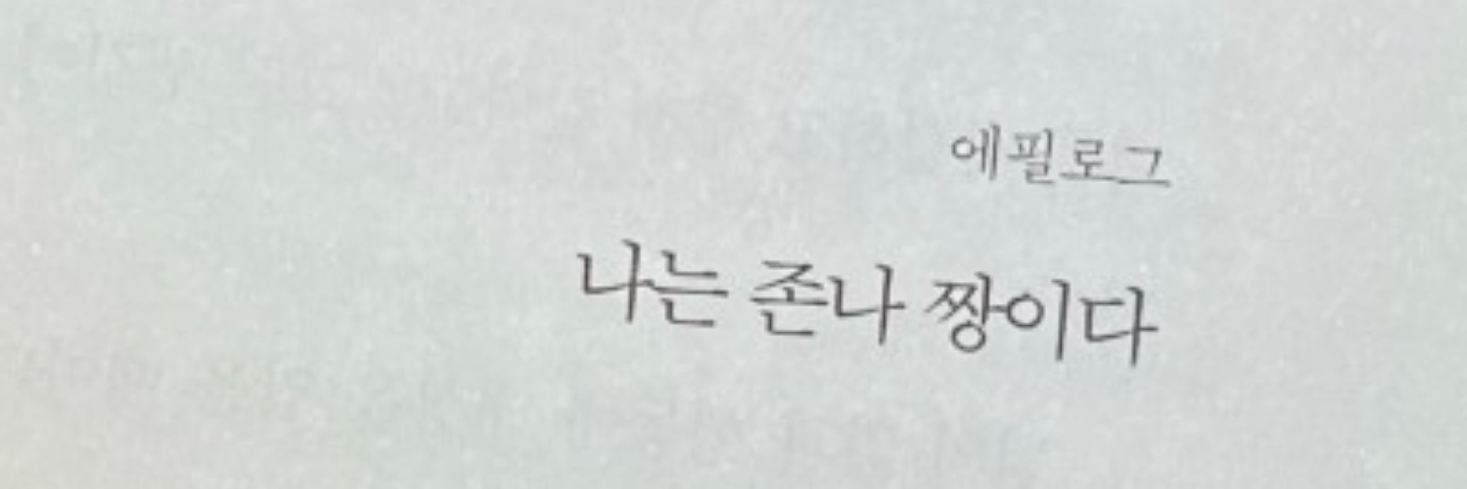 짱