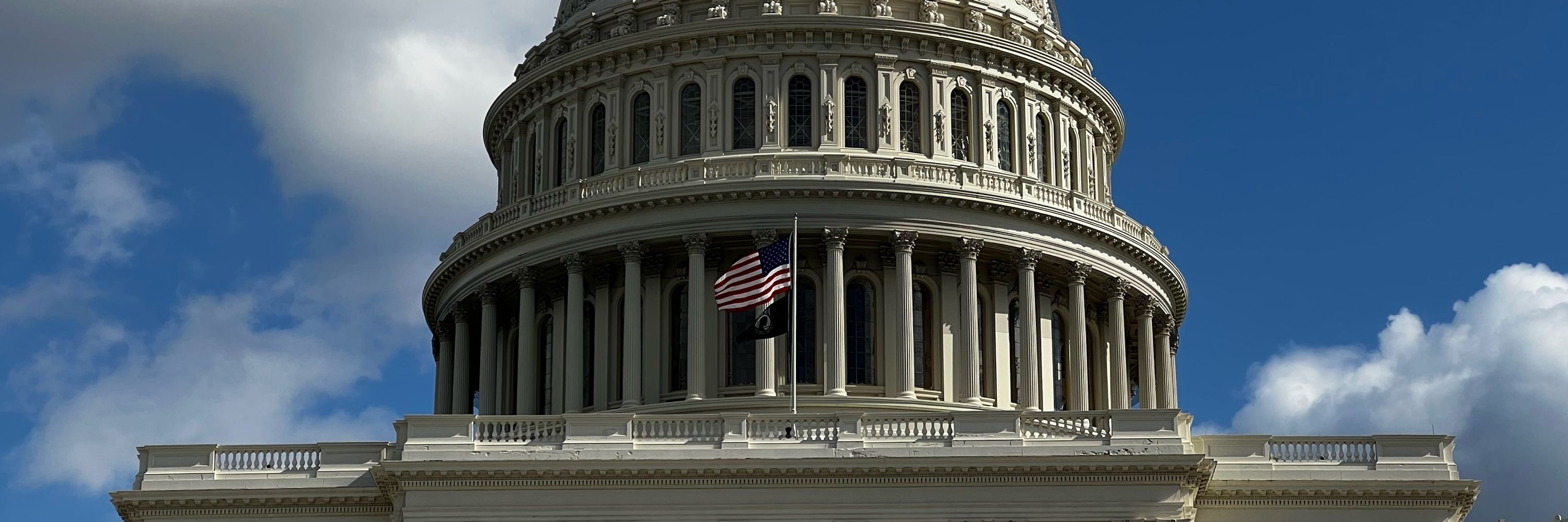 The Liberal Crab, Pro-Democracy Coalition