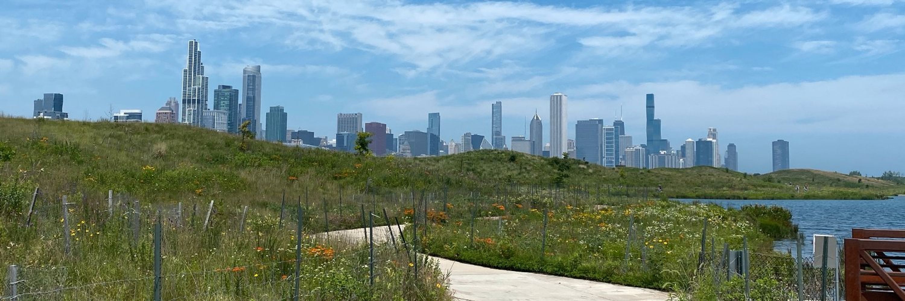 ColsieChicago