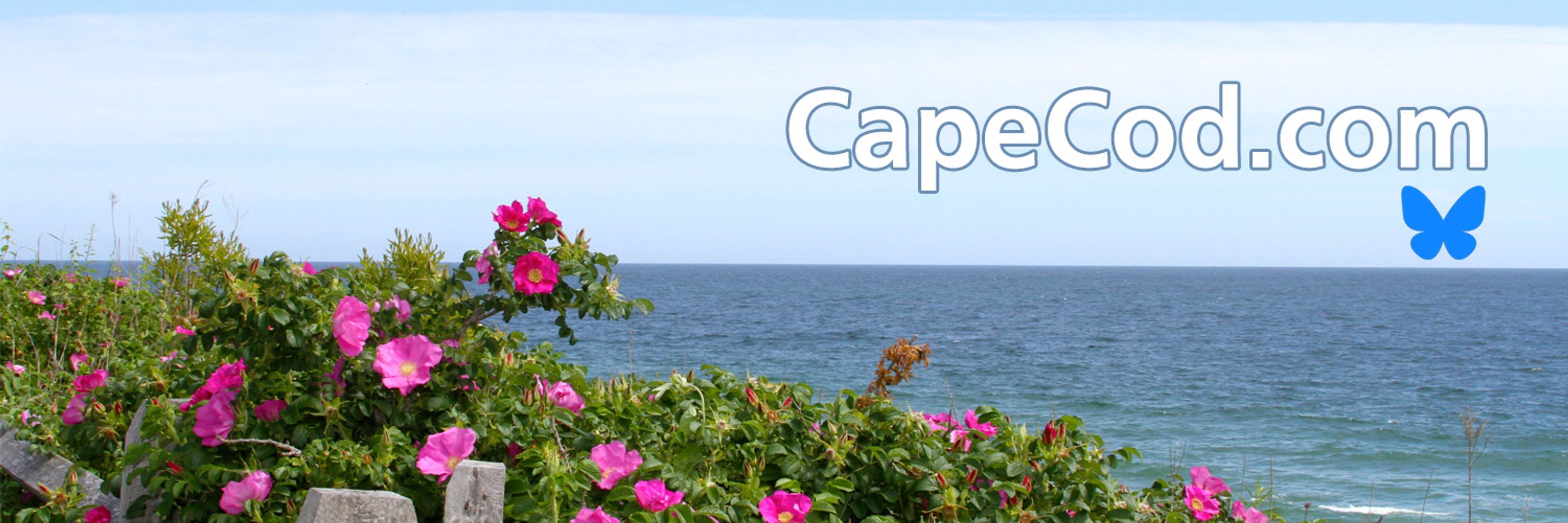 Cape Cod com