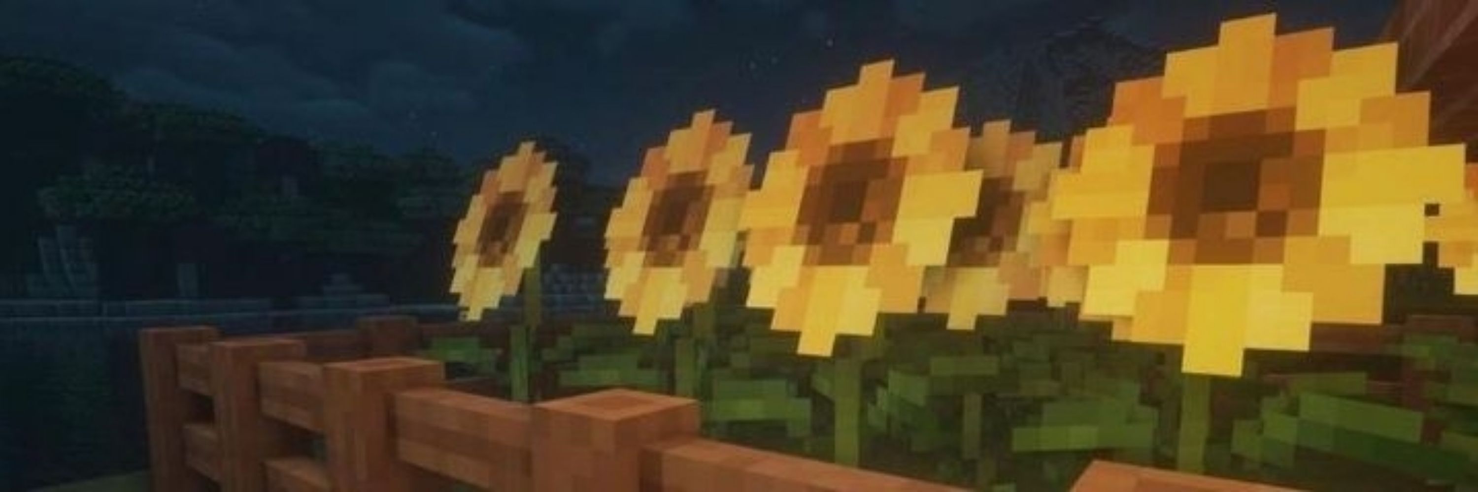 sa¡k¡ 🌻