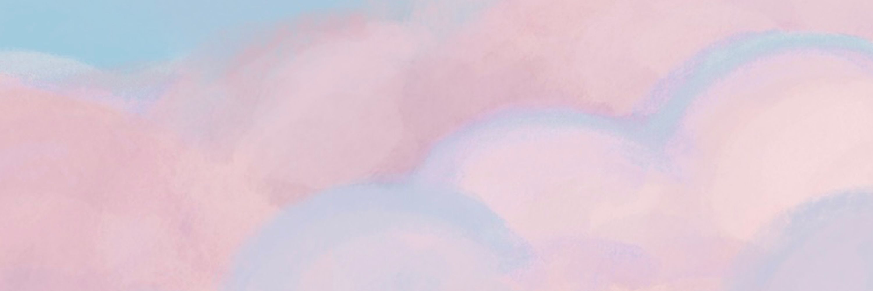 ほちょ｜illustration
