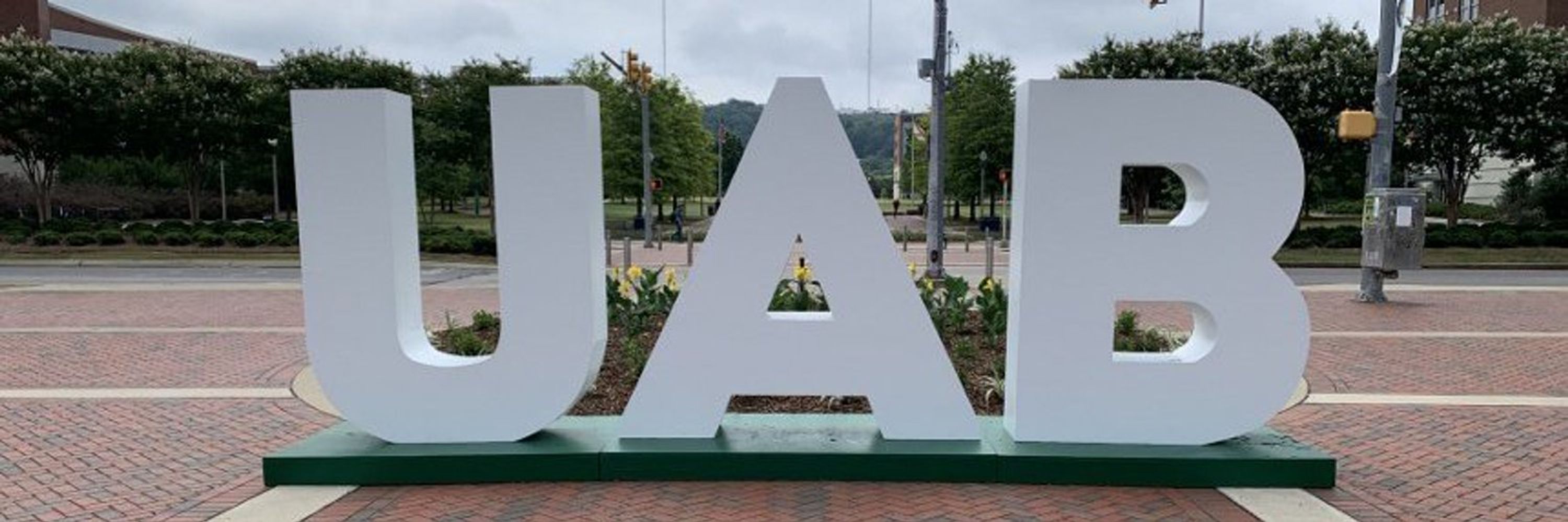UAB CDIB