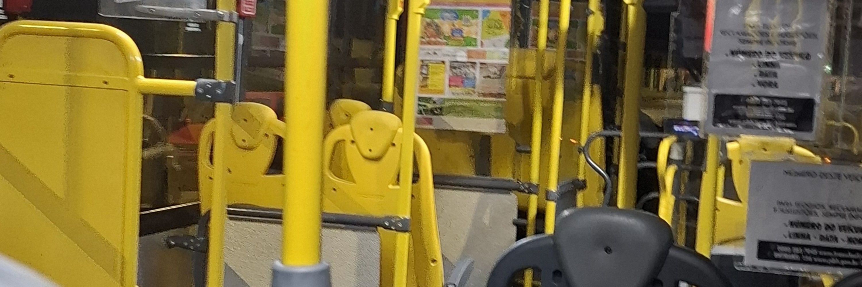Samira sem ç