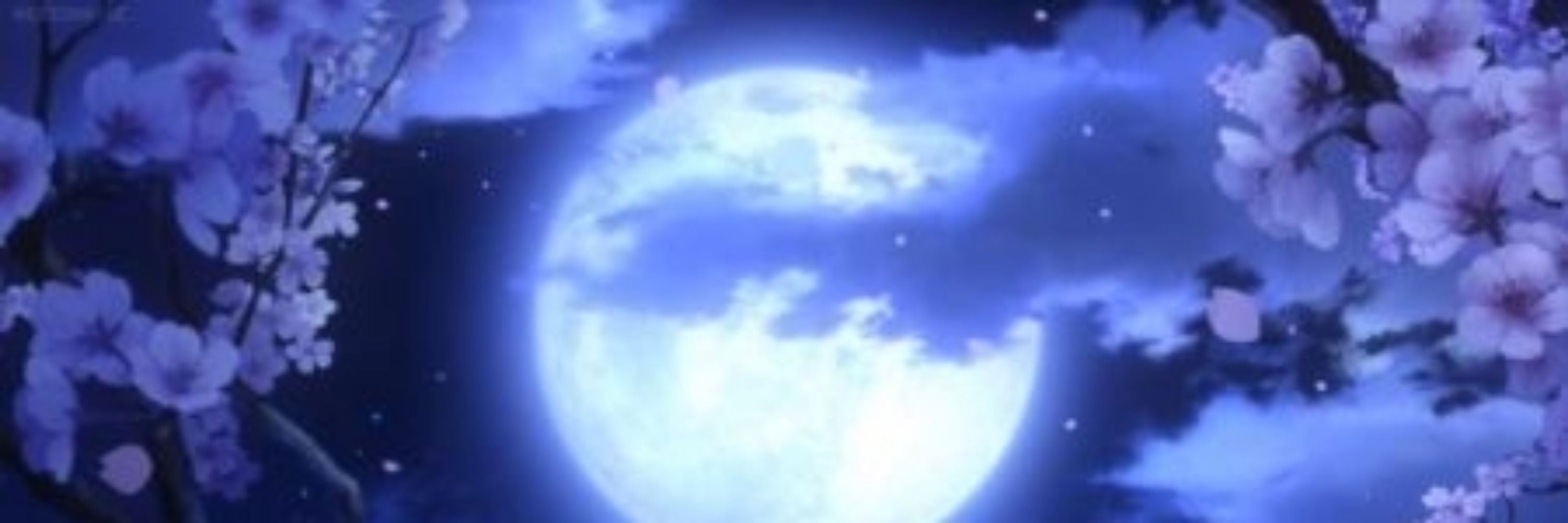 Sakura Moon 
