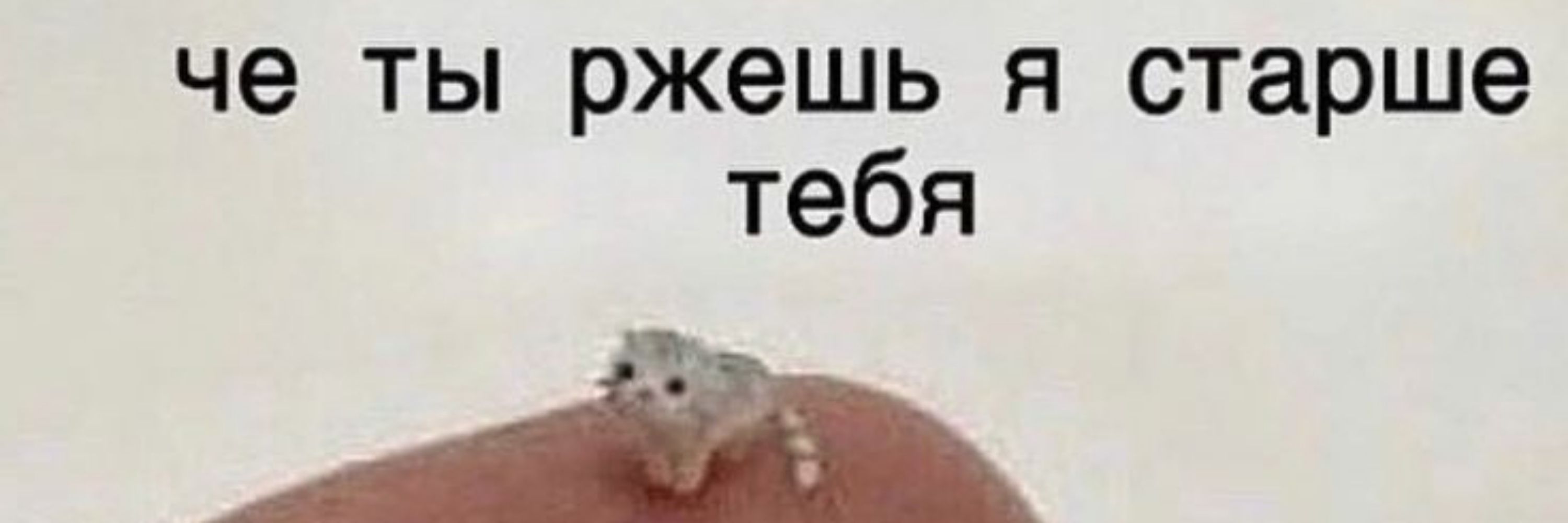 Shan_Monchere