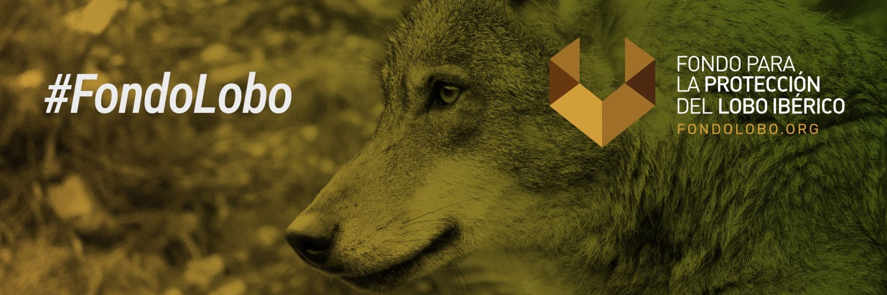 Fondo Lobo