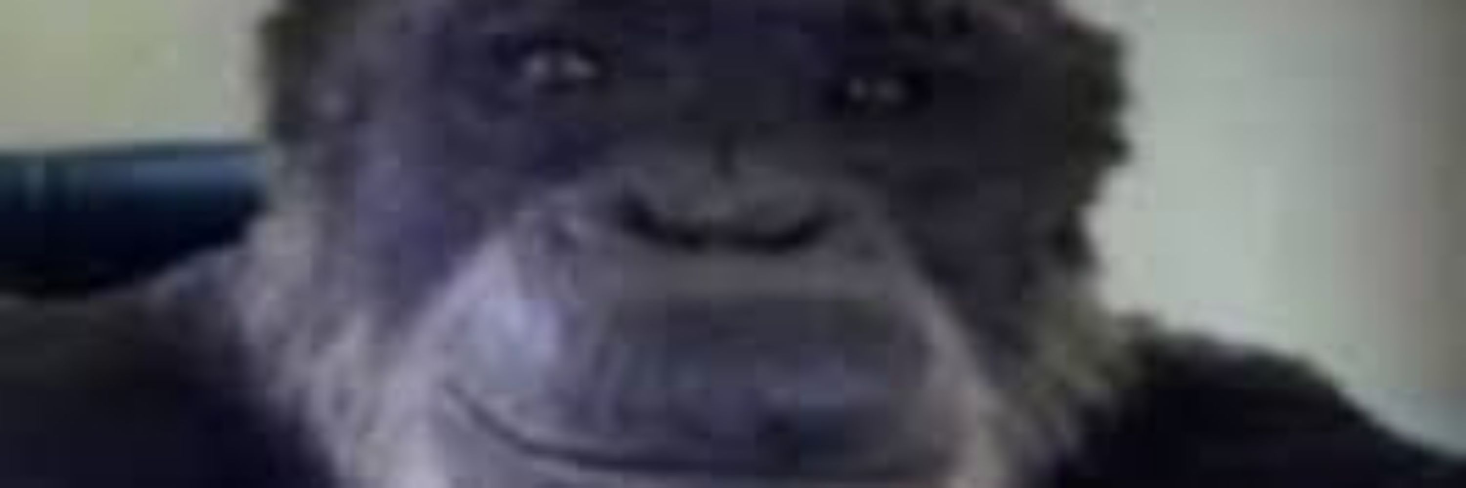 elwiwi