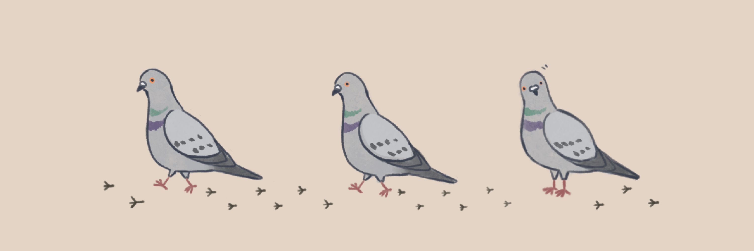 くるっぽう
