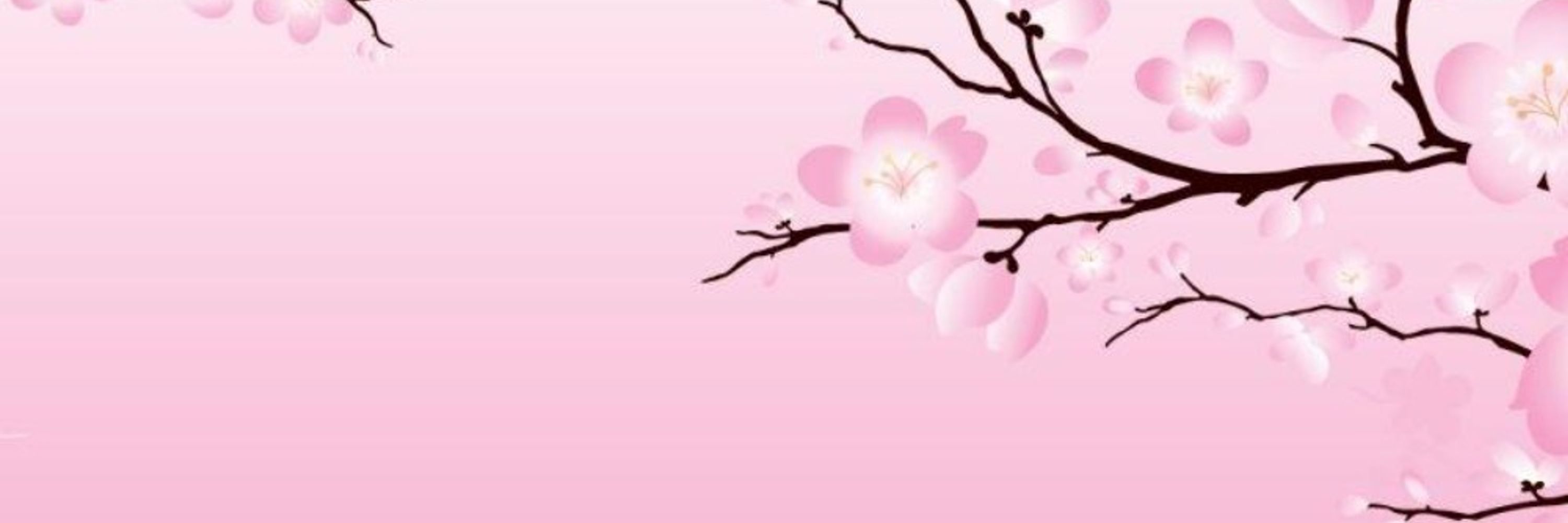 Sakura🌸