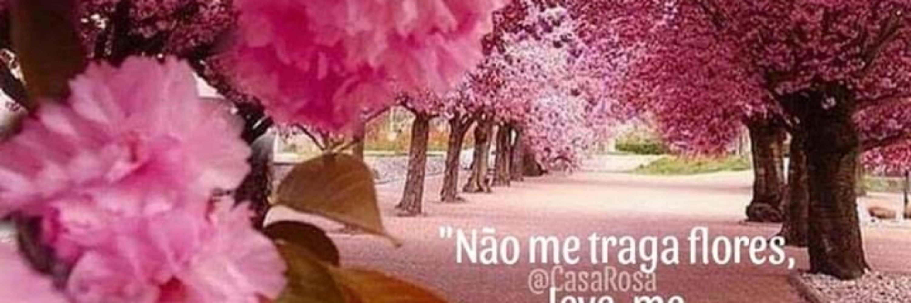 Jardim Paradiso