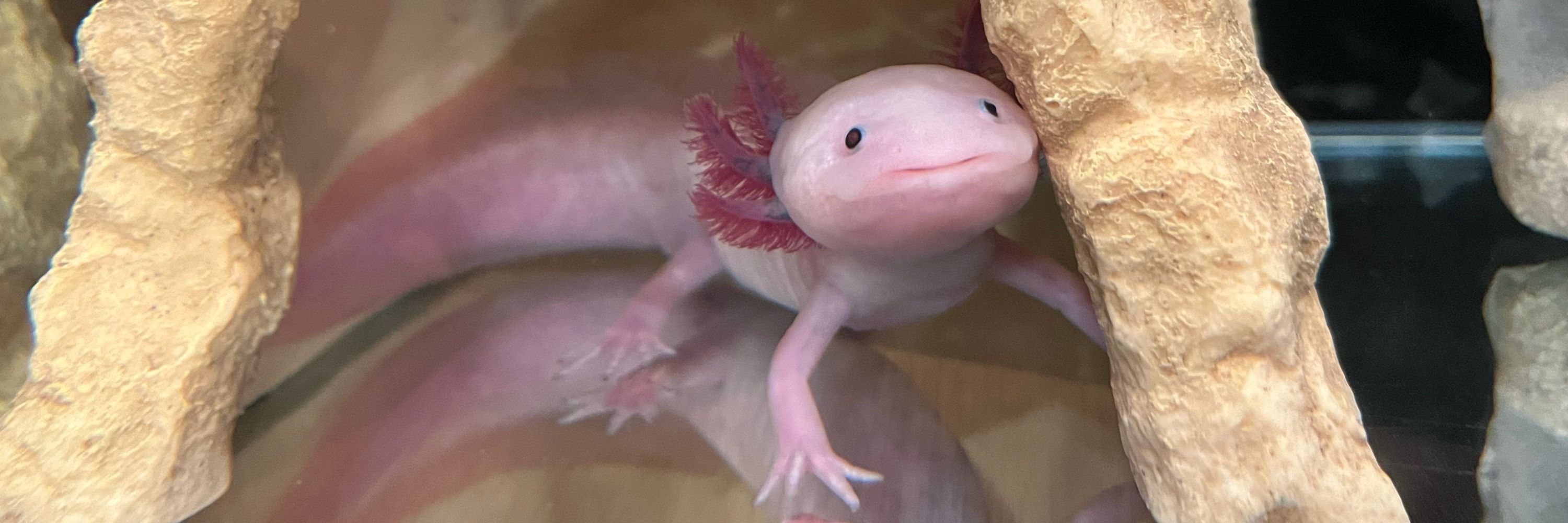 汚酒ちゃん