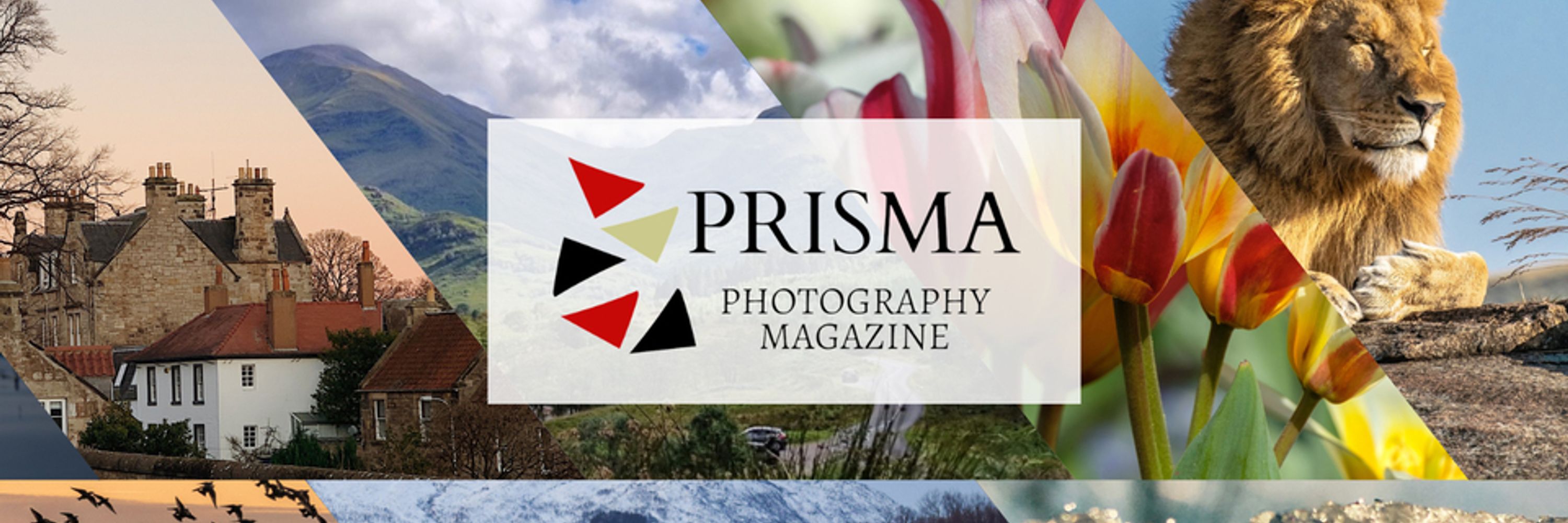 PRISMA Photography Magazine
