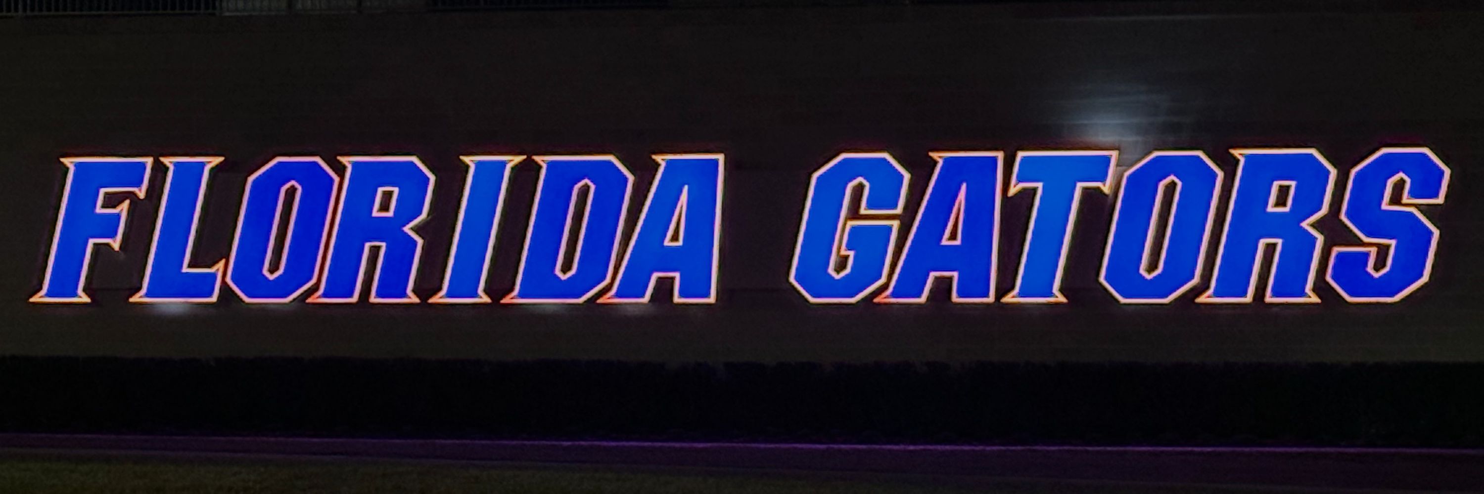 Gators Wire