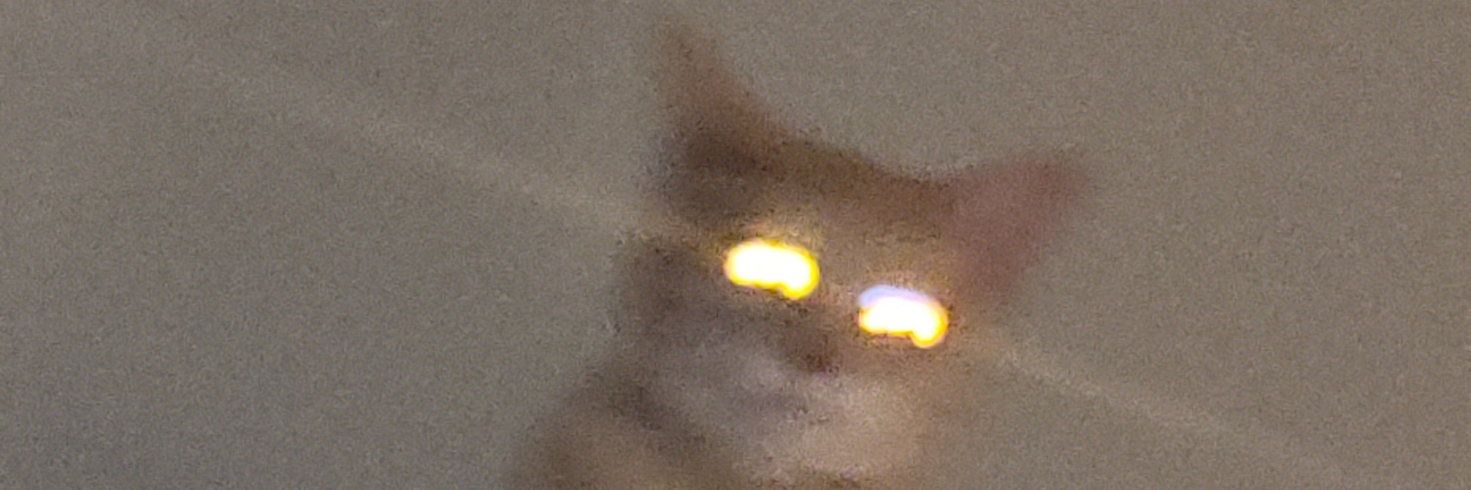 DemonNerd