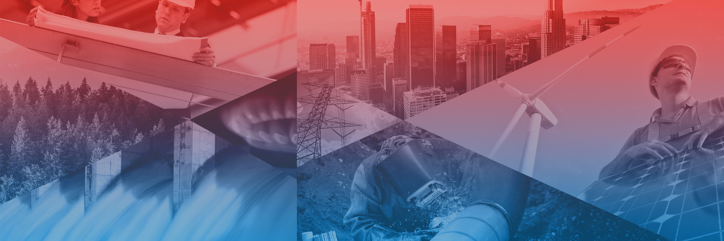 Business Council for Sustainable Energy (BCSE)