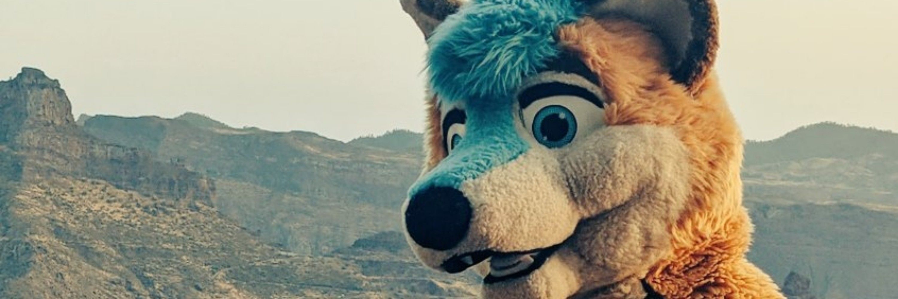 Foxbee