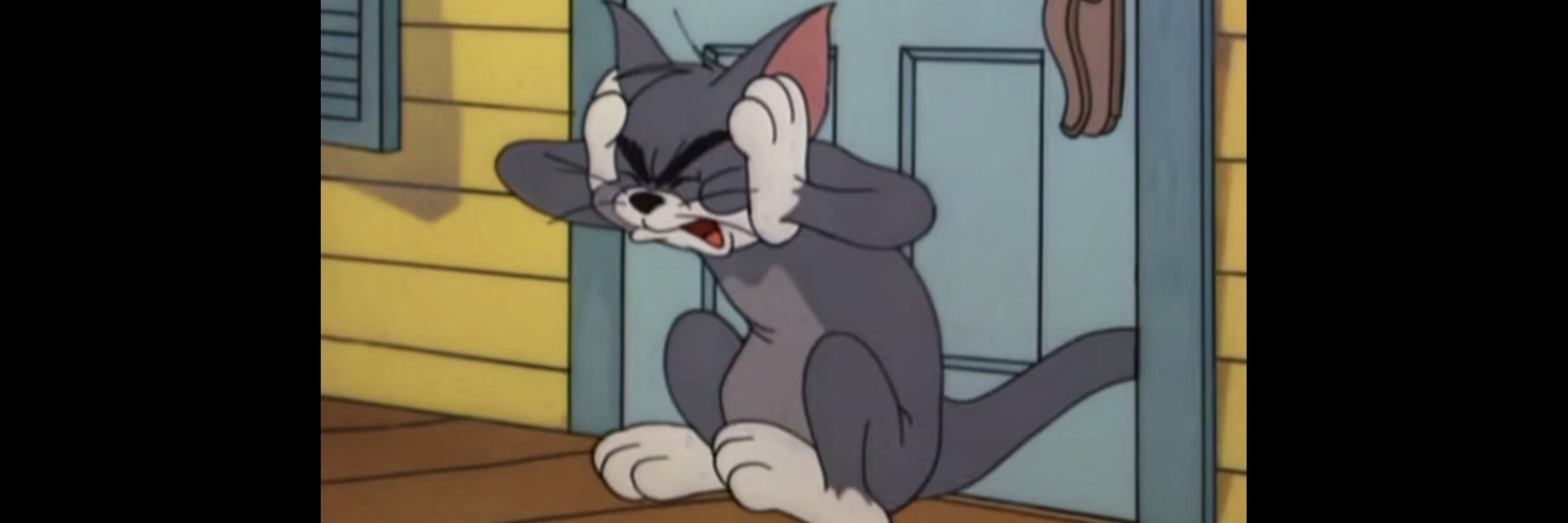 猫！猫！