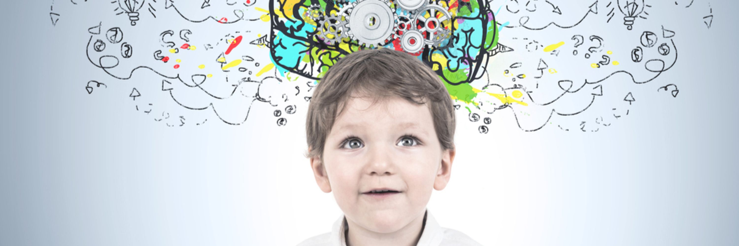 Developmental Cognitive Neuroscience Team