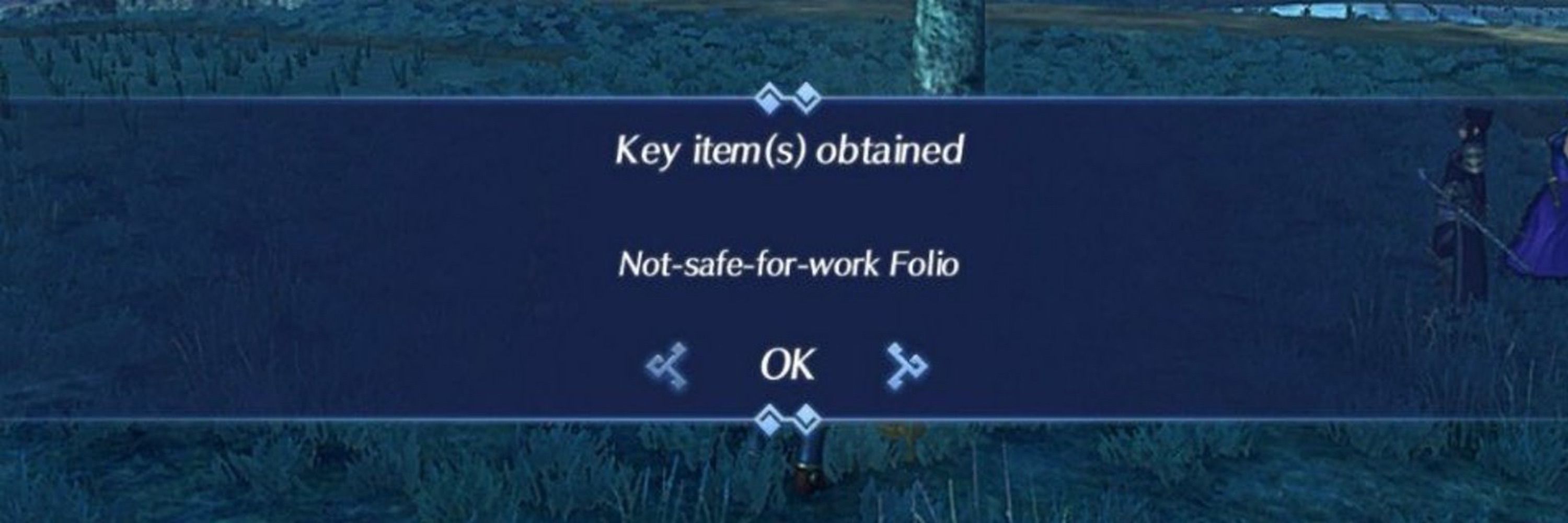Not Safe For Koi