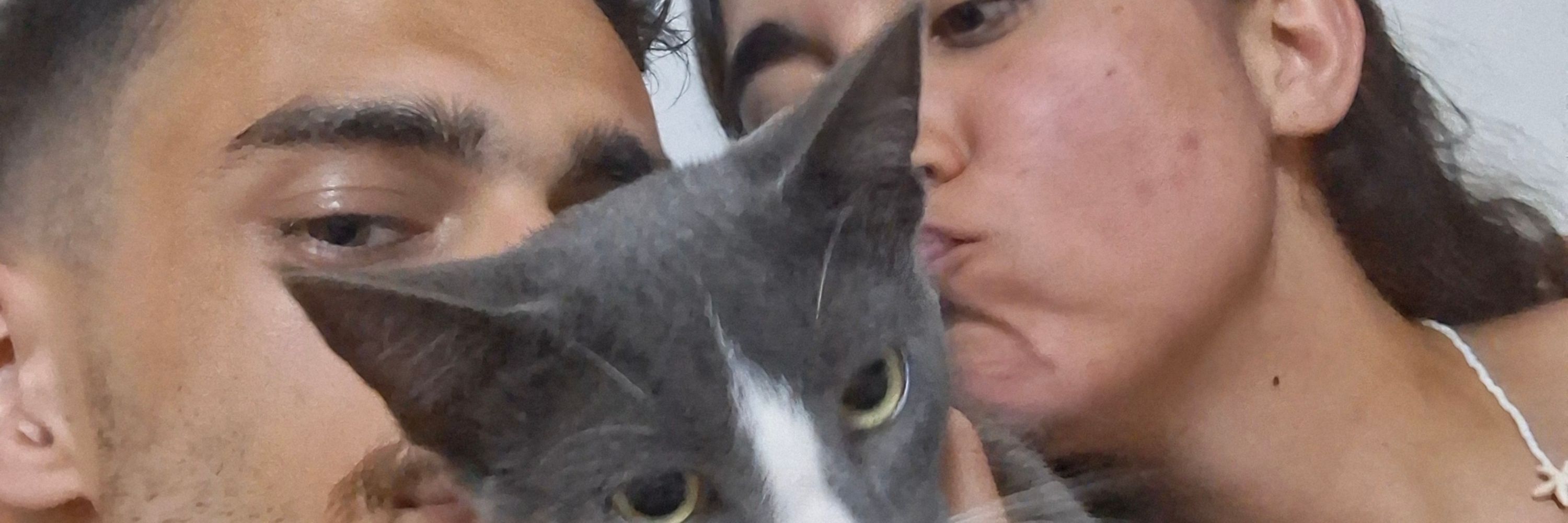 Joce