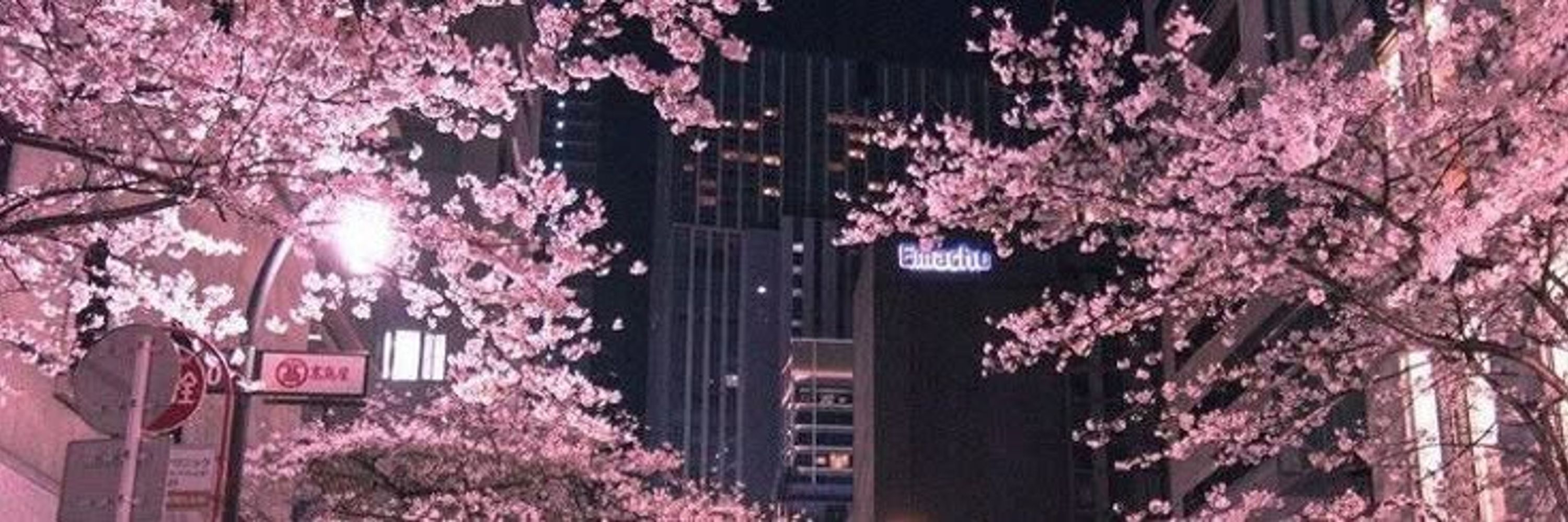 hwahyeon🌸花現🌸