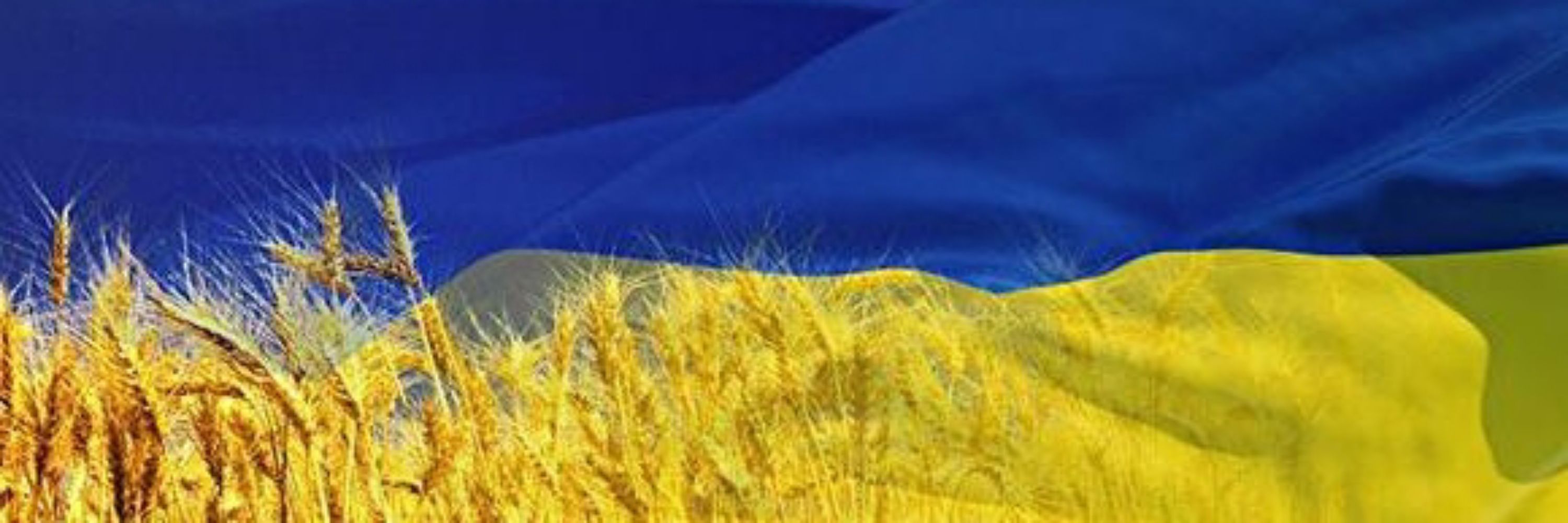 🇺🇦Дякую, Боже, що я не москаль🇺🇦