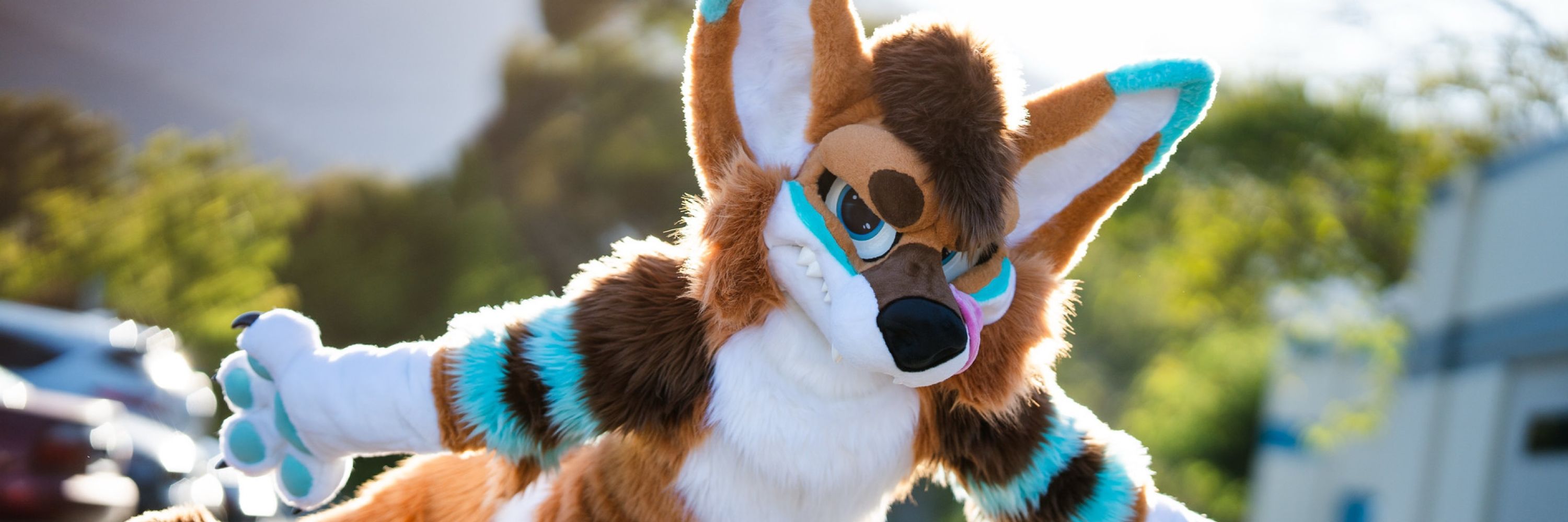AmatziCoyote