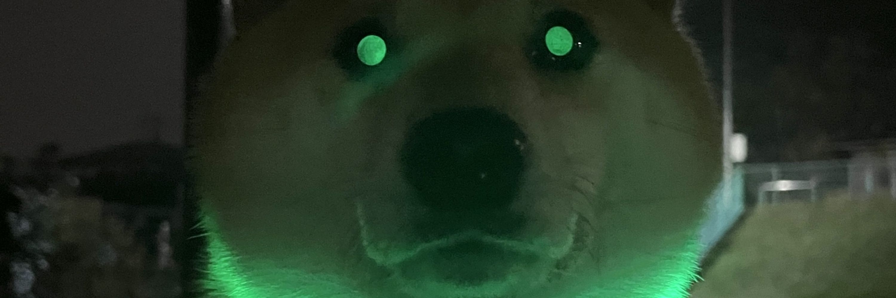 데피