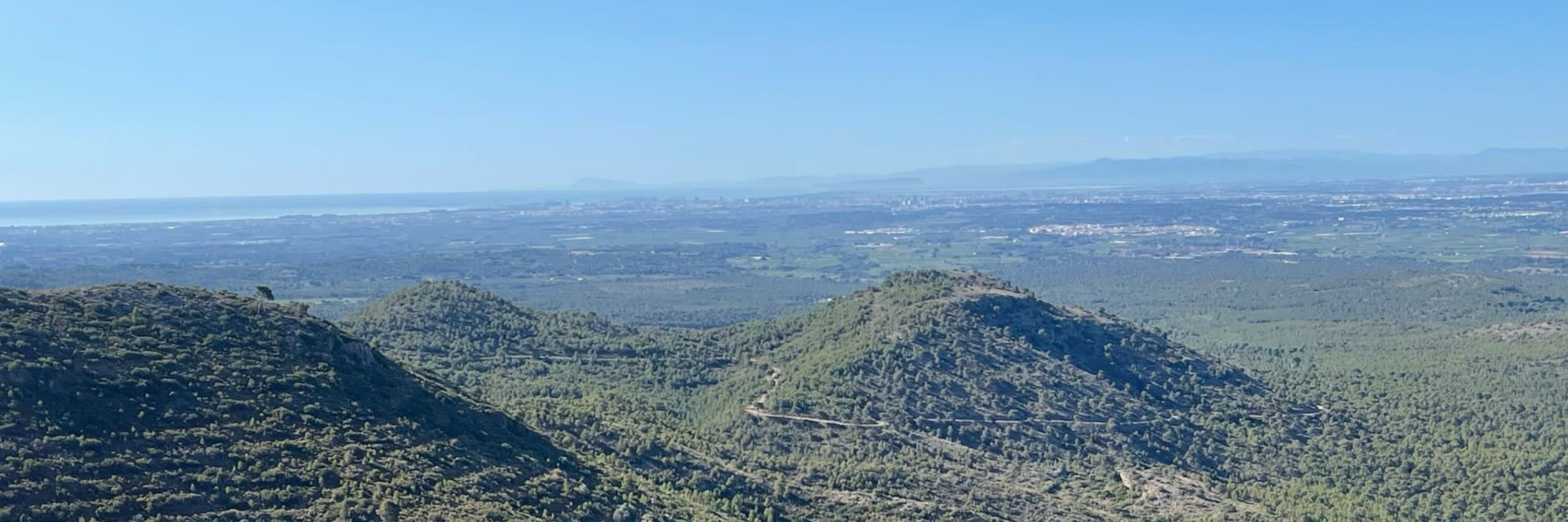Santiago Elena