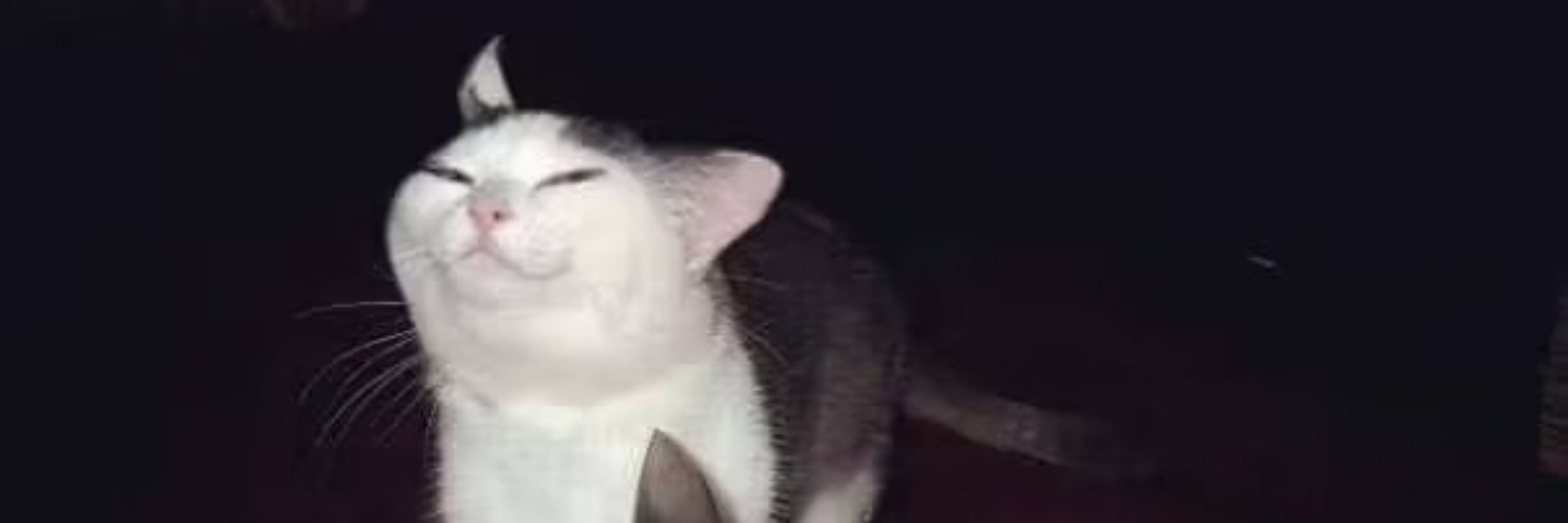 擎空酱_
