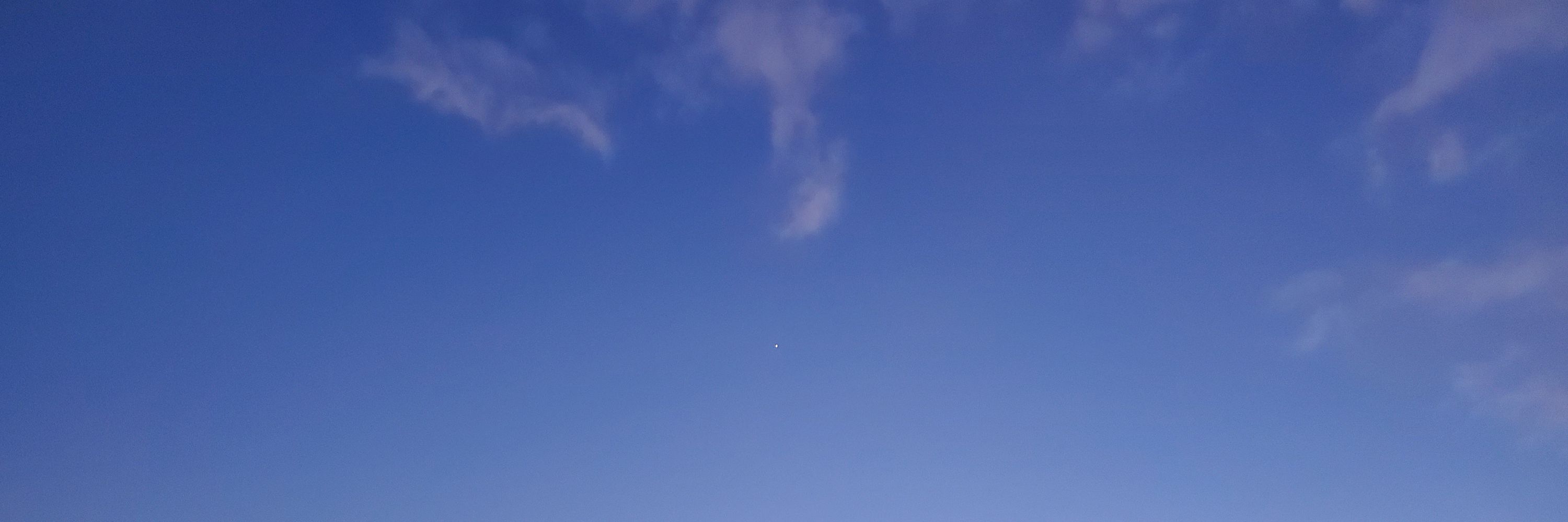 白花（柚癒）