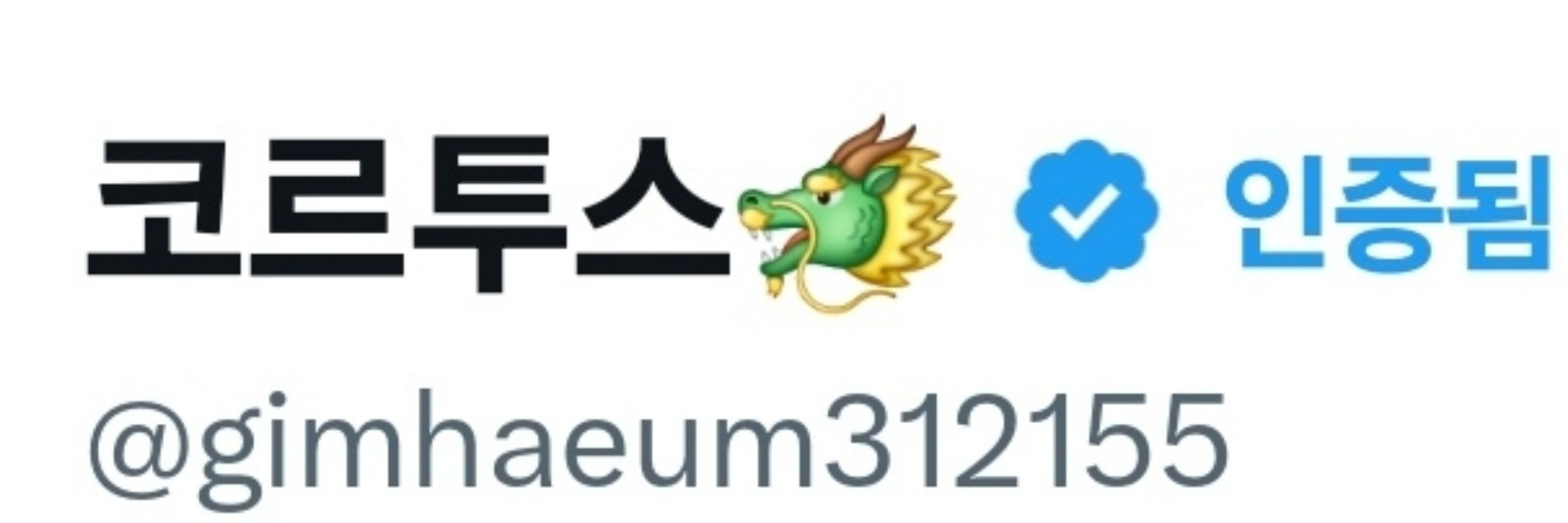 코르투스🐲