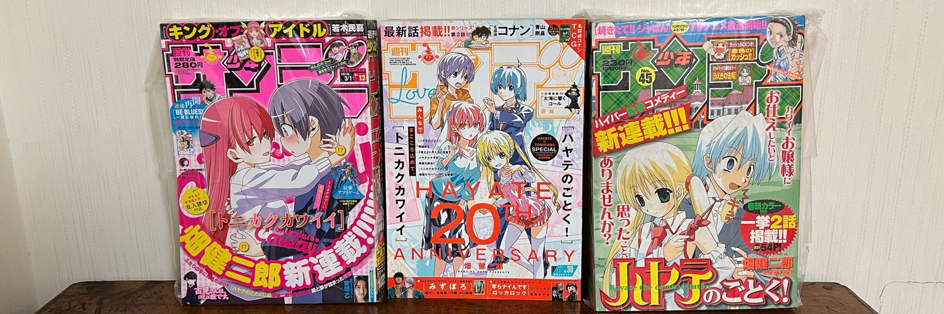 シン・ハヤテちゃん