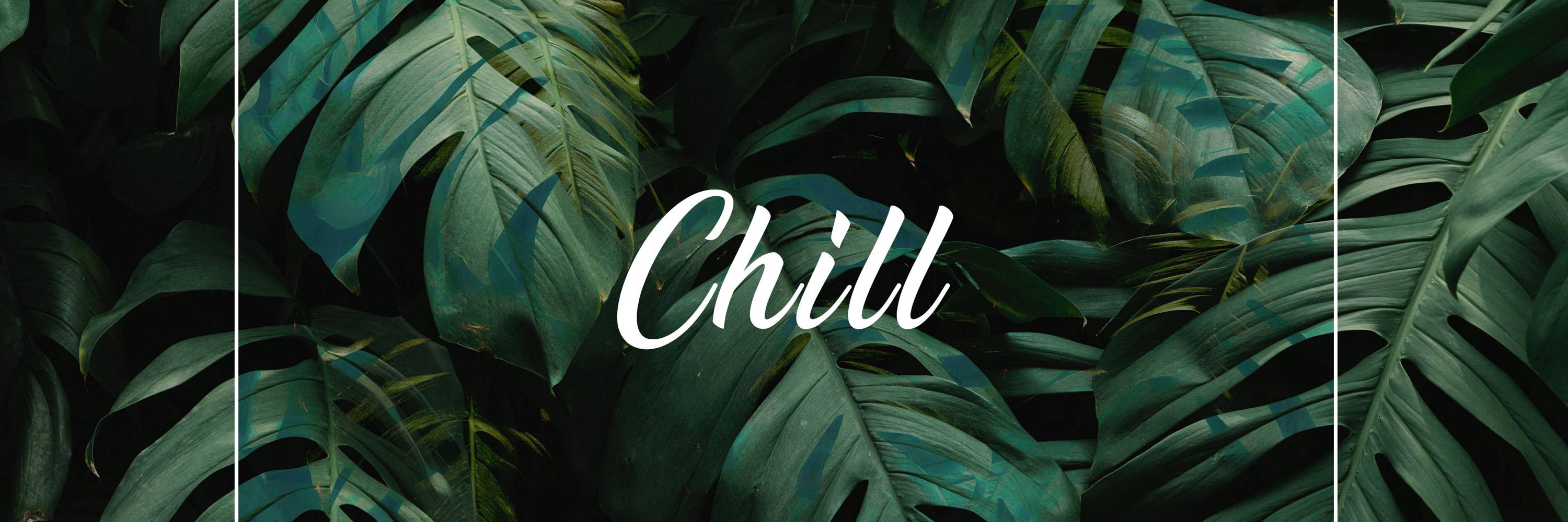 🍃𝒮𝓉𝑒𝓅𝒽🍃