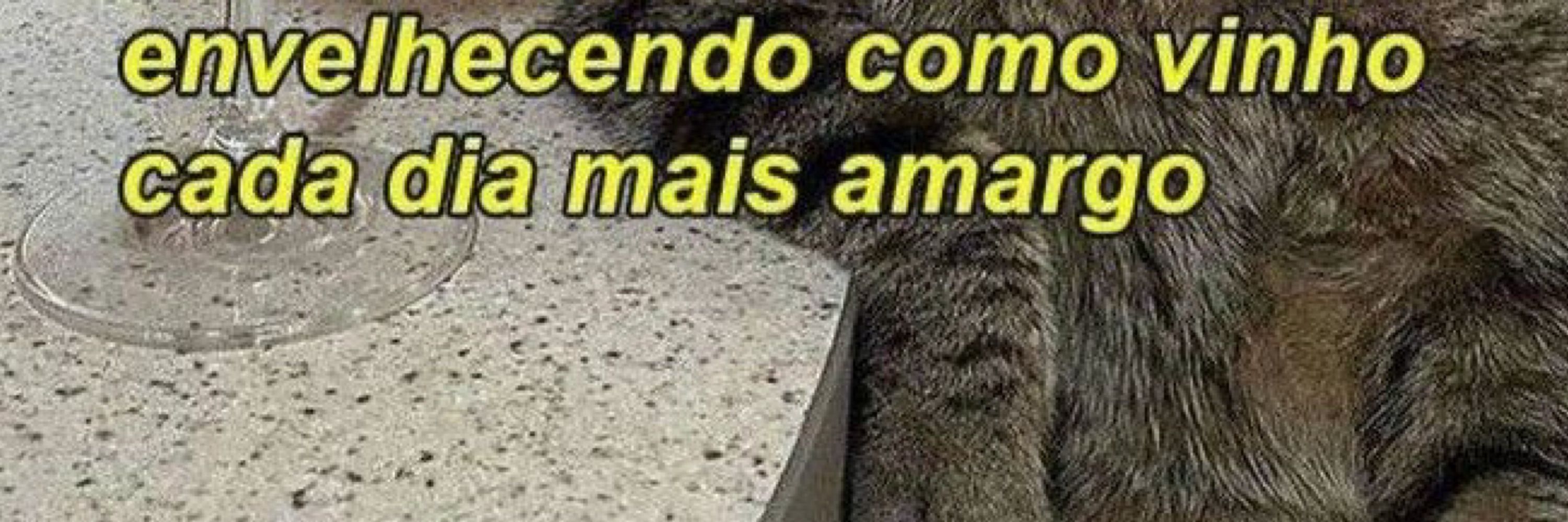 Veado Amargo 🍋